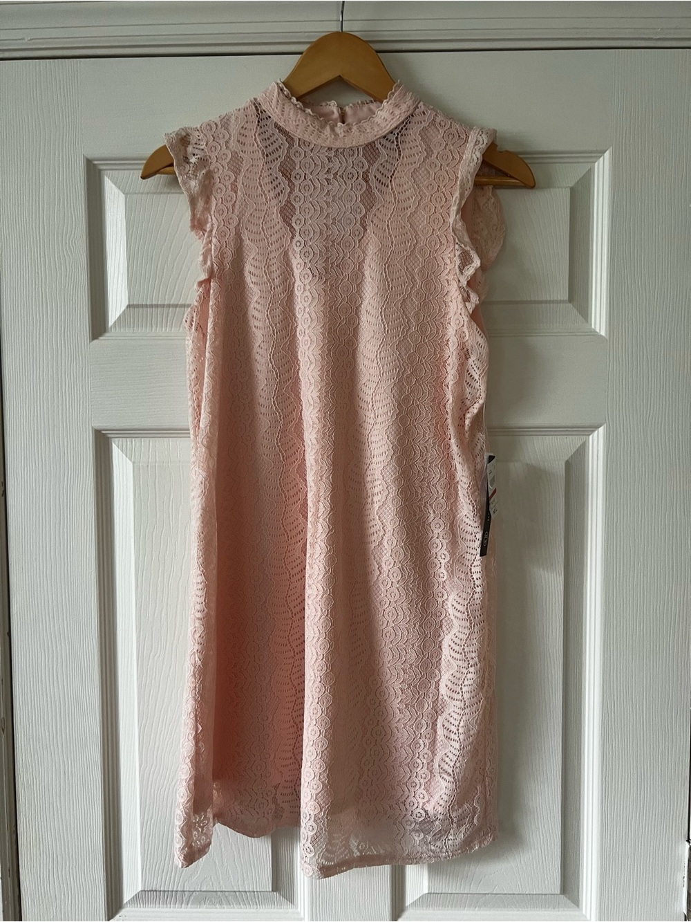 Sleeveless Lace Shift Dress in Light Pink